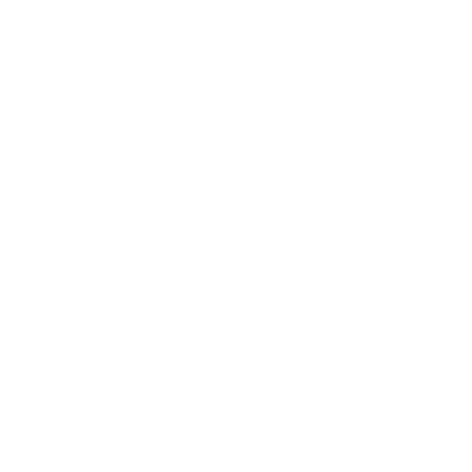 jazzy burger